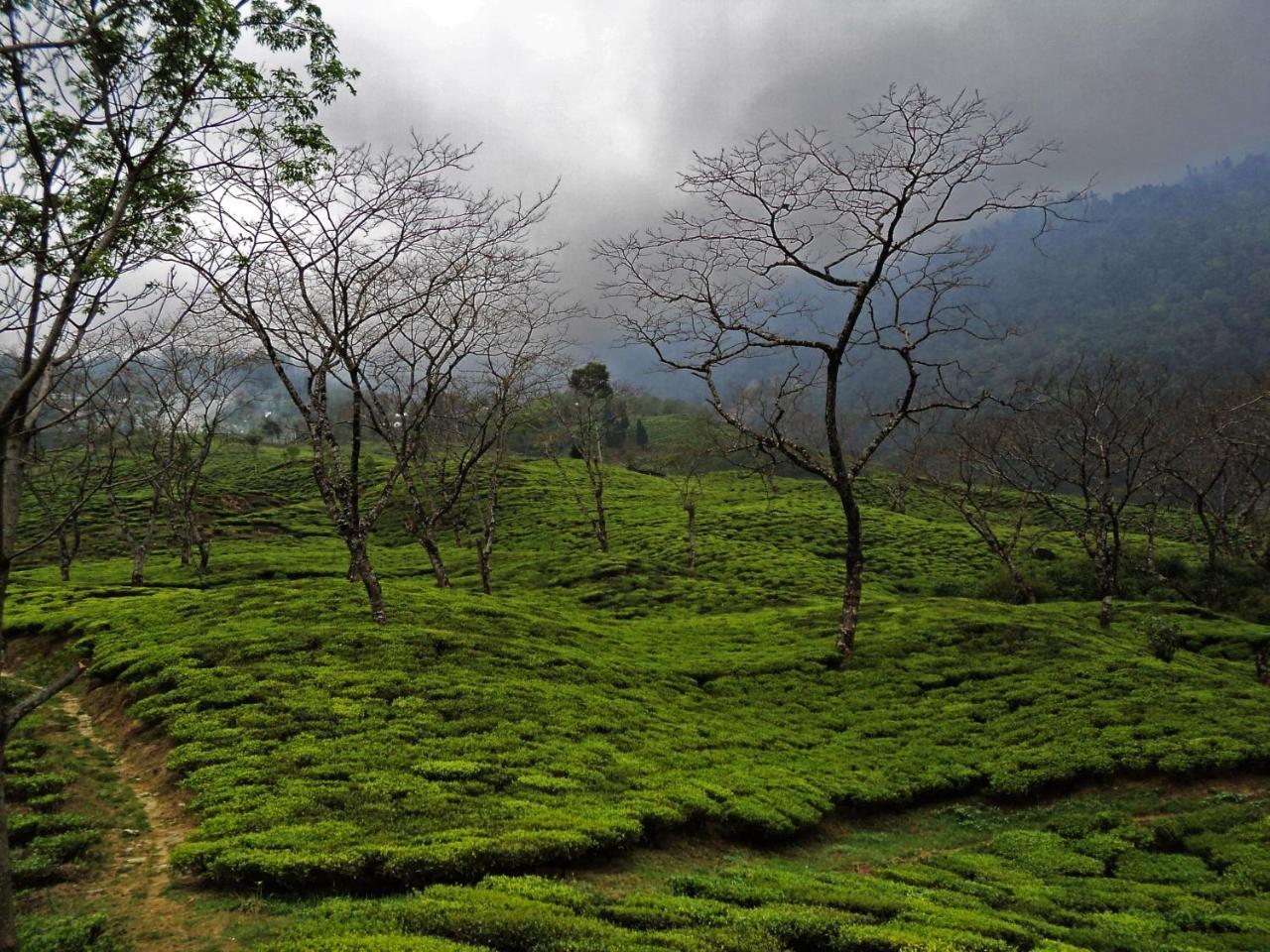 Rangaroon Trekkers Hut Bed and Breakfast Darjeeling  Exterior foto