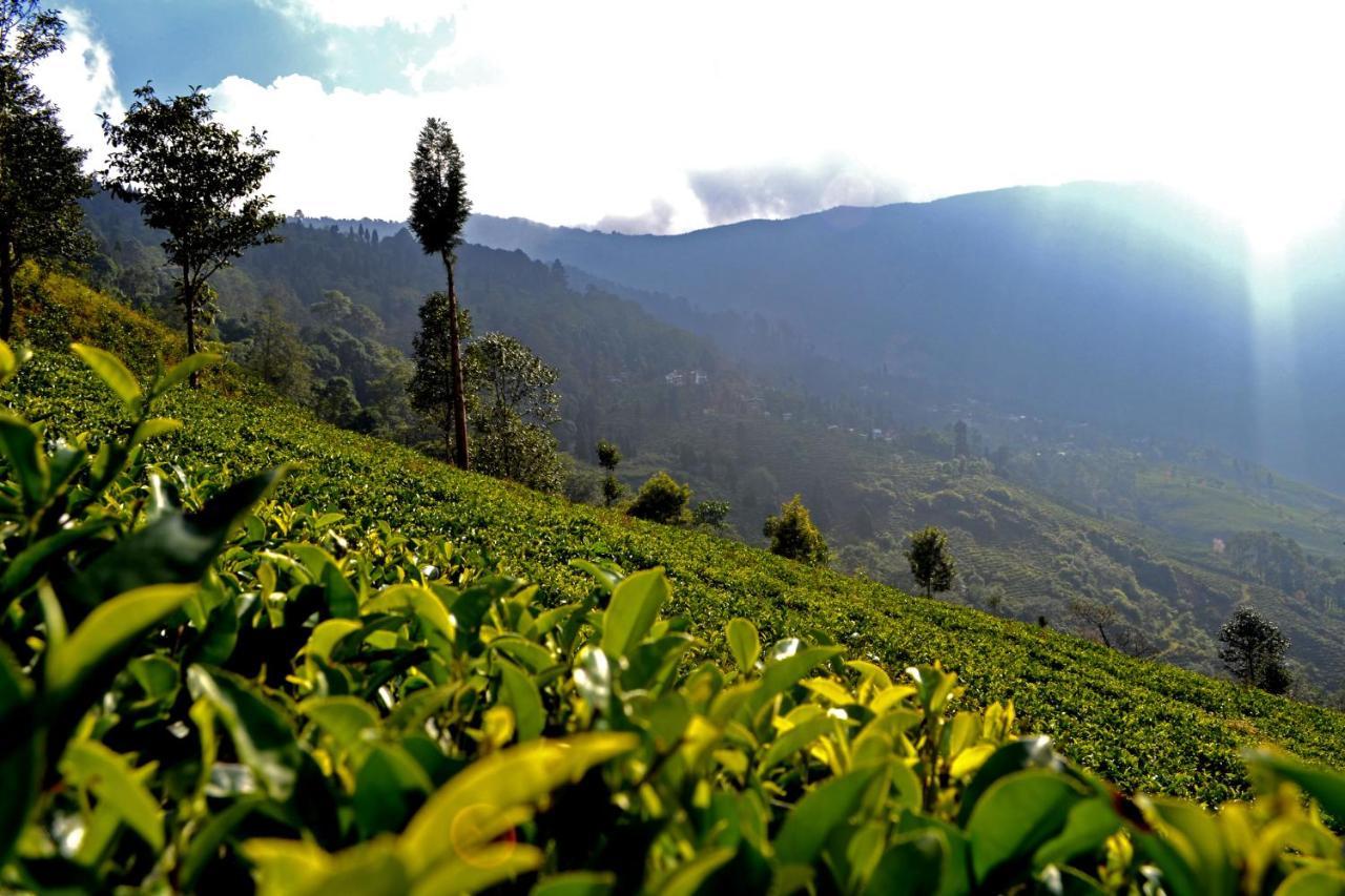 Rangaroon Trekkers Hut Bed and Breakfast Darjeeling  Exterior foto